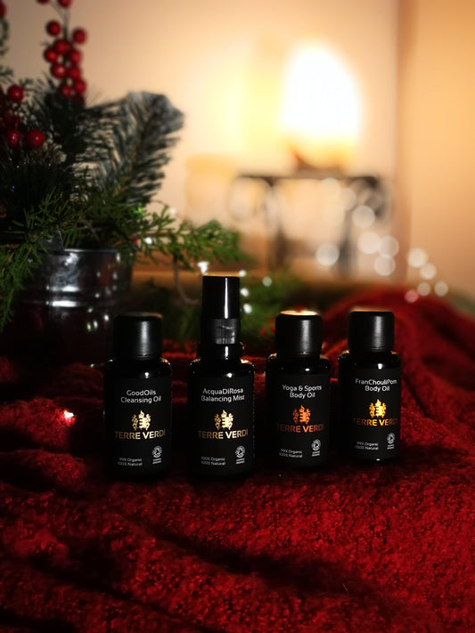 Christmas Gift Set - Luxury Travel for Face&Body